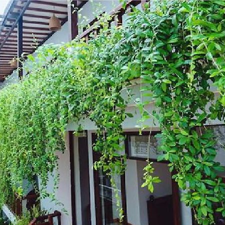 Riverside Plum Garden Villa Χόι Αν Εξωτερικό φωτογραφία