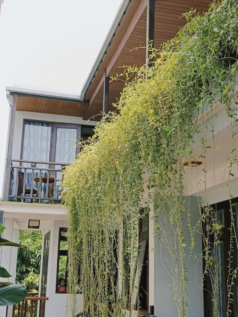 Riverside Plum Garden Villa Χόι Αν Εξωτερικό φωτογραφία