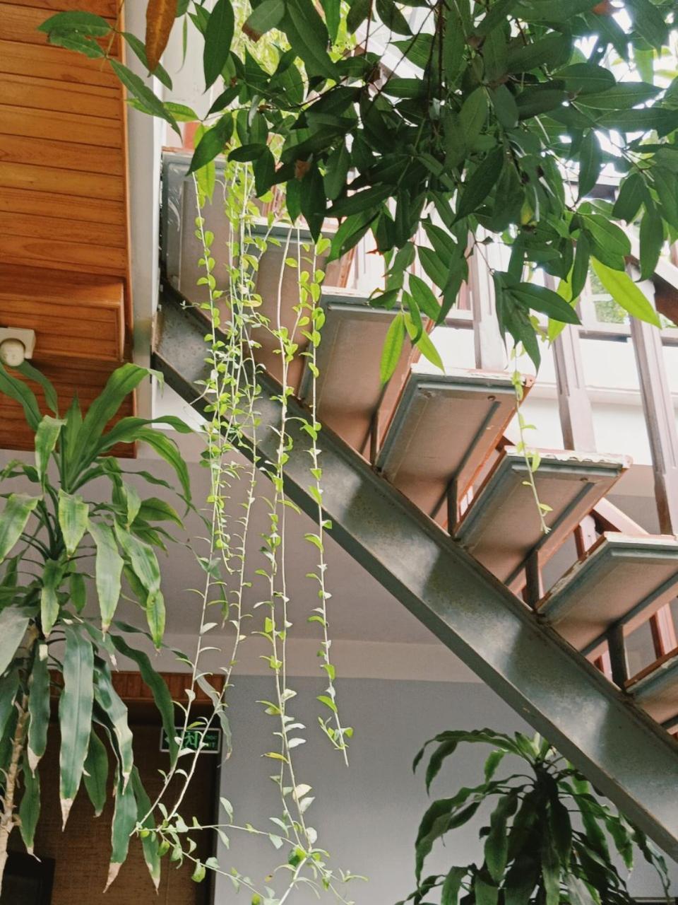 Riverside Plum Garden Villa Χόι Αν Εξωτερικό φωτογραφία
