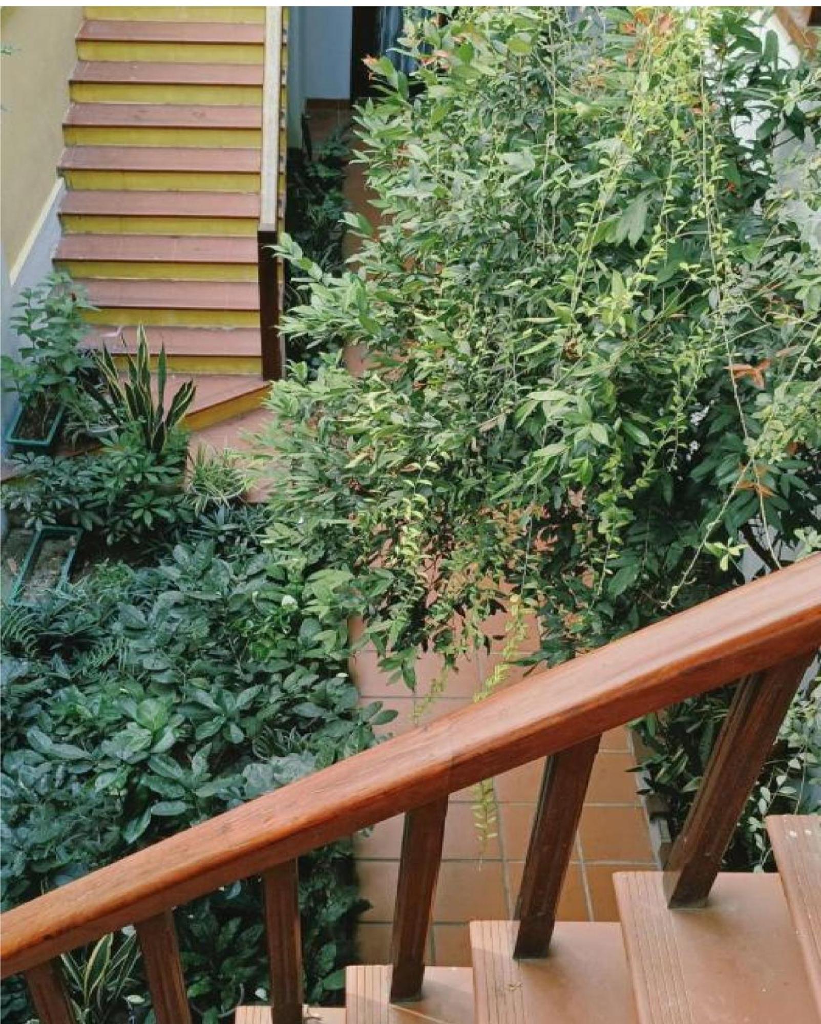 Riverside Plum Garden Villa Χόι Αν Εξωτερικό φωτογραφία